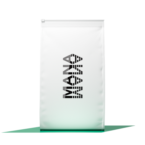Family Pack HP | Pistachio