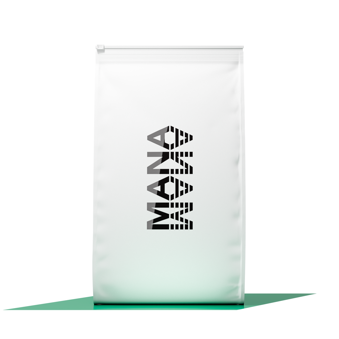 Family Pack HP | Pistachio